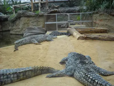 Foto 41 aus der Archivgalerie Zoobesuch (2011)