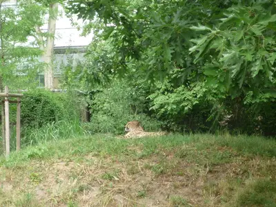 Foto 43 aus der Archivgalerie Zoobesuch (2011)