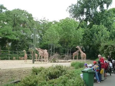 Foto 46 aus der Archivgalerie Zoobesuch (2011)