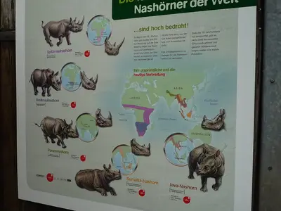 Foto 47 aus der Archivgalerie Zoobesuch (2011)
