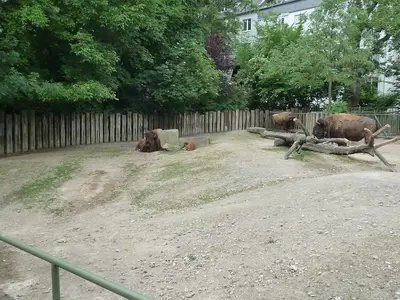 Foto 48 aus der Archivgalerie Zoobesuch (2011)