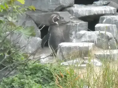 Foto 56 aus der Archivgalerie Zoobesuch (2011)