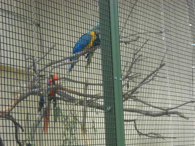 Foto 64 aus der Archivgalerie Zoobesuch (2011)