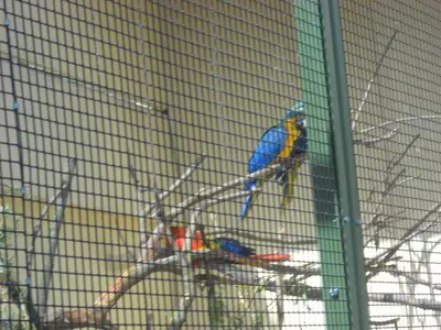 Foto 65 aus der Archivgalerie Zoobesuch (2011)