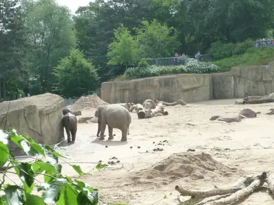Foto 66 aus der Archivgalerie Zoobesuch (2011)