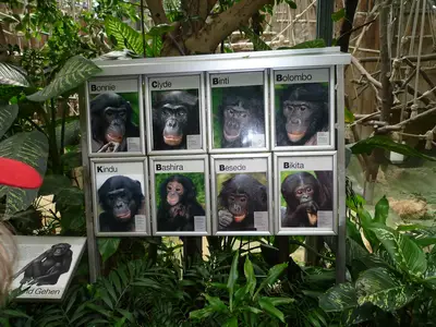 Foto 69 aus der Archivgalerie Zoobesuch (2011)