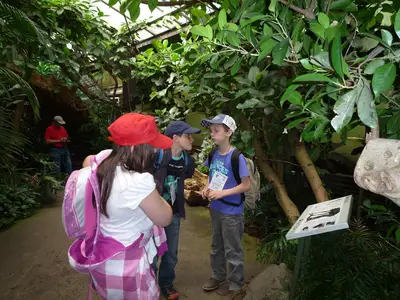Foto 70 aus der Archivgalerie Zoobesuch (2011)