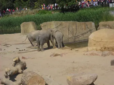 Foto 72 aus der Archivgalerie Zoobesuch (2011)