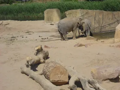 Foto 73 aus der Archivgalerie Zoobesuch (2011)