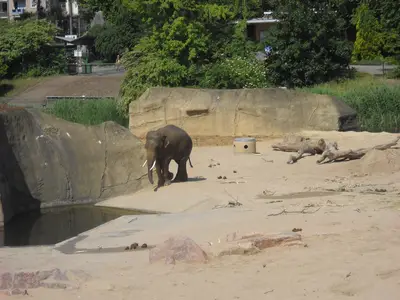 Foto 74 aus der Archivgalerie Zoobesuch (2011)