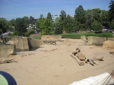 Foto 77 aus der Archivgalerie Zoobesuch (2011)