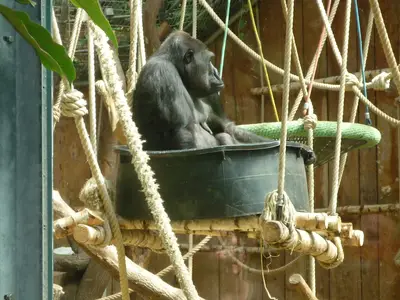 Foto 78 aus der Archivgalerie Zoobesuch (2011)