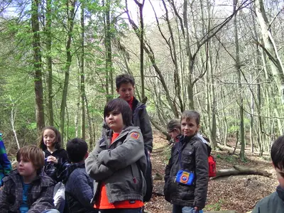 Foto 114 aus der Archivgalerie Klassenfahrt 3a-3b 2012 (2012)