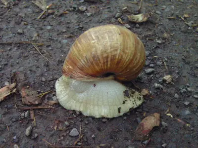Foto 156 aus der Archivgalerie Klassenfahrt 3a-3b 2012 (2012)