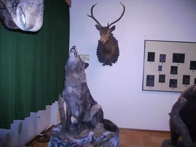 Foto 6 aus der Archivgalerie Klassenfahrt Klassen 4 2012 (2012)