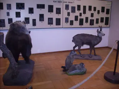 Foto 7 aus der Archivgalerie Klassenfahrt Klassen 4 2012 (2012)