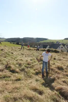 Foto 20 aus der Archivgalerie Pflanzaktion (2013)