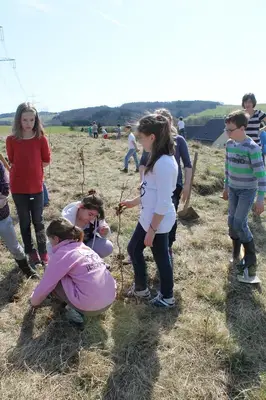 Foto 32 aus der Archivgalerie Pflanzaktion (2013)