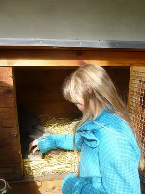 Foto 86 aus der Archivgalerie Besuch der Partnerschule in Hem (Frankreich) 2014 (2014)