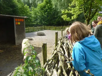 Foto 87 aus der Archivgalerie Besuch der Partnerschule in Hem (Frankreich) 2014 (2014)