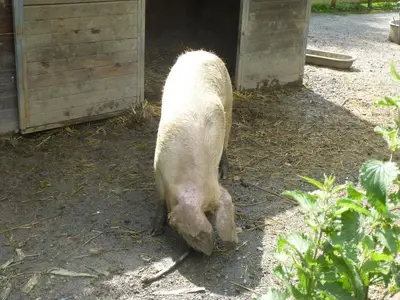 Foto 88 aus der Archivgalerie Besuch der Partnerschule in Hem (Frankreich) 2014 (2014)
