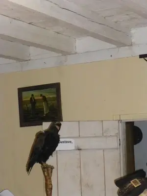 Foto 92 aus der Archivgalerie Besuch der Partnerschule in Hem (Frankreich) 2014 (2014)