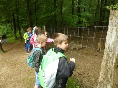 Foto 2 aus der Archivgalerie Gang zur Tropfsteinhöhle Klassen 1 (2014)