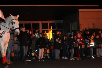 Foto 32 aus der Archivgalerie St. Martinsumzug 2014 (2014)
