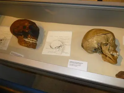 Foto 7 aus der Archivgalerie Zeitreise in die Steinzeit (2014)