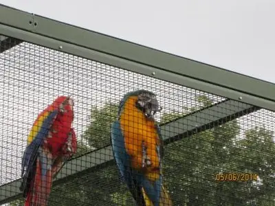 Foto 3 aus der Archivgalerie Zoobesuch der Klassen 2 (2014)