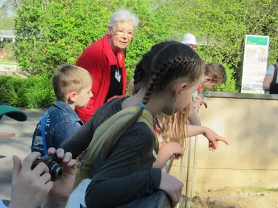 Foto 2 aus der Archivgalerie Die Klassen 2 besuchen den Kölner Zoo (2015)
