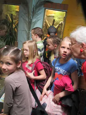 Foto 11 aus der Archivgalerie Die Klassen 2 besuchen den Kölner Zoo (2015)
