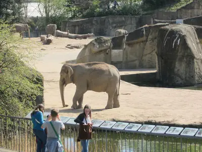 Foto 16 aus der Archivgalerie Die Klassen 2 besuchen den Kölner Zoo (2015)