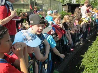 Foto 17 aus der Archivgalerie Die Klassen 2 besuchen den Kölner Zoo (2015)