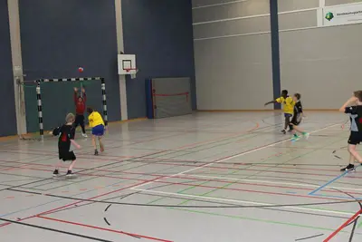 Foto 3 aus der Archivgalerie Stadtmeisterschaften Wiehler Grundschulen im Handball 2015 (2015)