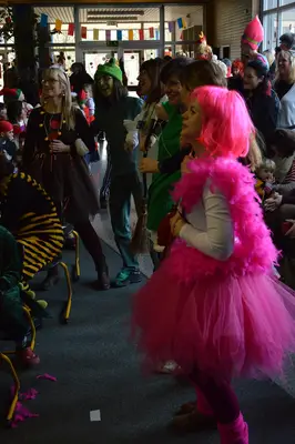 Foto 34 aus der Archivgalerie Karneval 2018 (2018)