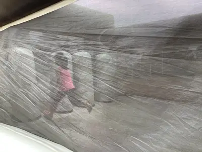 Foto 8 aus der Archivgalerie Trixitt (2022)