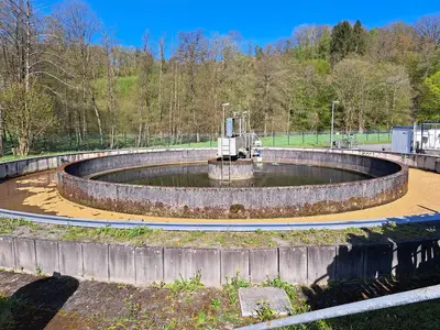 Foto 2 aus der Archivgalerie Projektwoche Natur (2023)