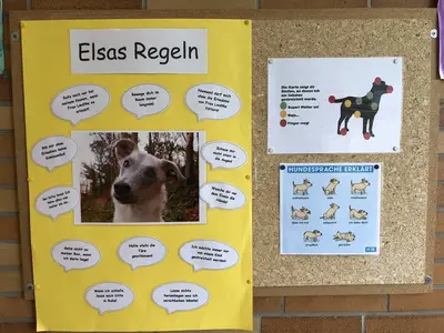 Foto 2 aus der Archivgalerie Elsa (2024)