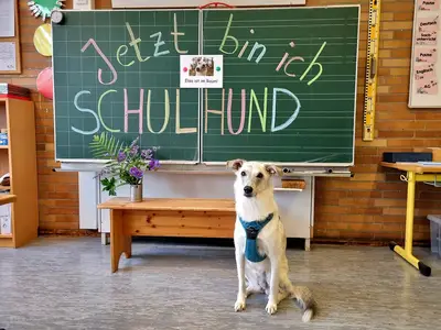 Foto 4 aus der Archivgalerie Elsa (2024)