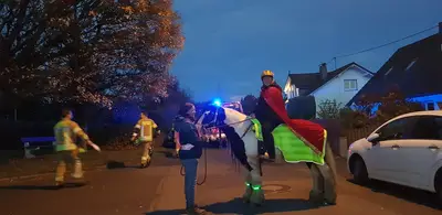 Foto 2 aus der Archivgalerie Sankt Martin 2025 (2025)
